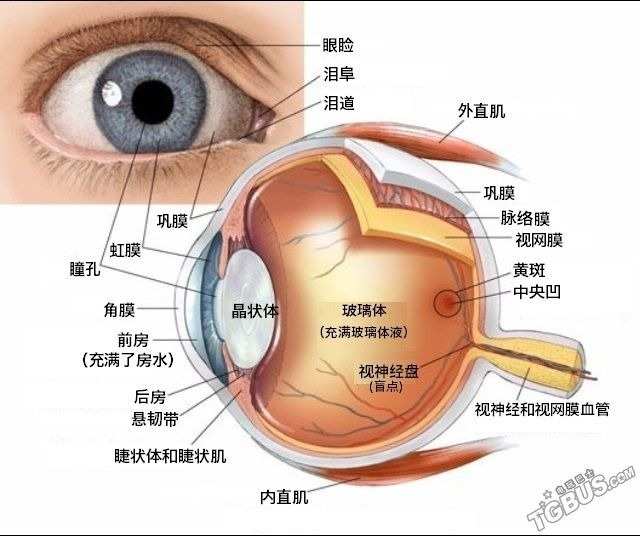 世界爱眼日_世界爱眼日手抄报_世界爱眼日是哪一天