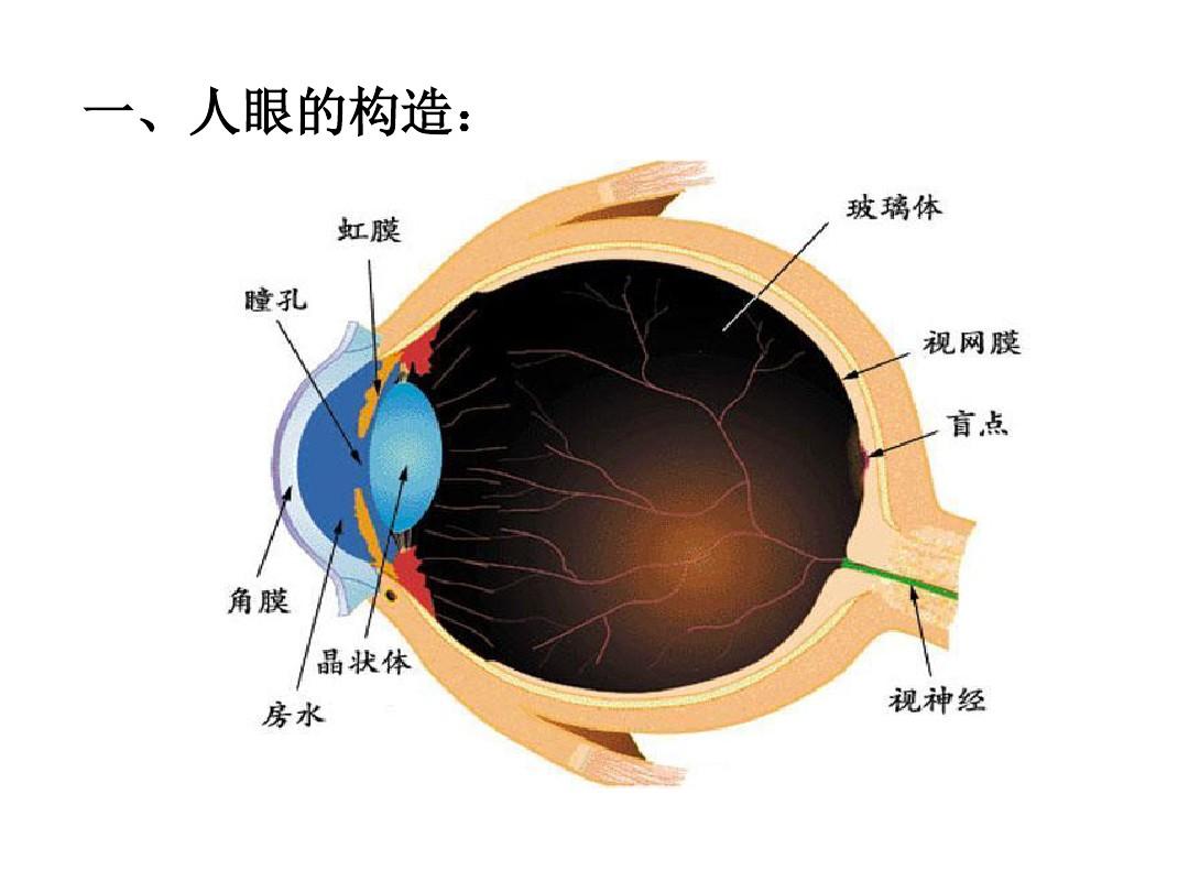世界爱眼日_世界爱眼日手抄报_世界爱眼日是哪一天
