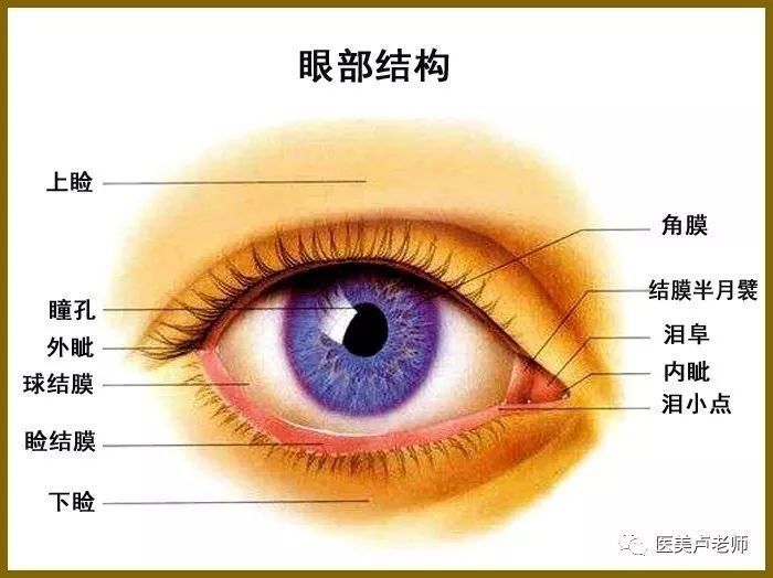 世界爱眼日_世界爱眼日是哪一天_世界爱眼日手抄报