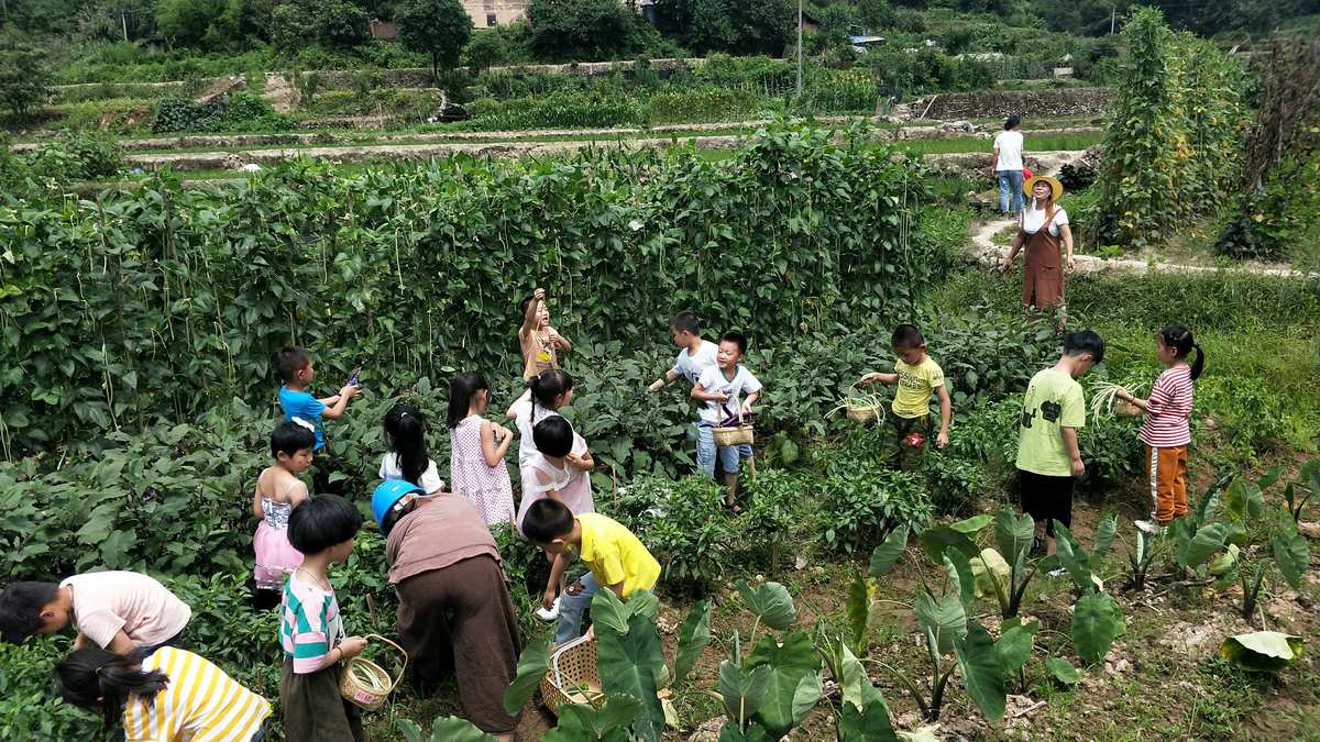 田园生活游戏破解版_田园风游戏手机版破解版_田园深处破解版金手指