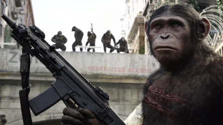 猩猩战争手机游戏-战争来临,猩猩当家,手机游戏震撼上线(图1) 猩猩战争手机游戏怎么玩_猩猩战争手机游戏叫什么_猩猩战争手机游戏