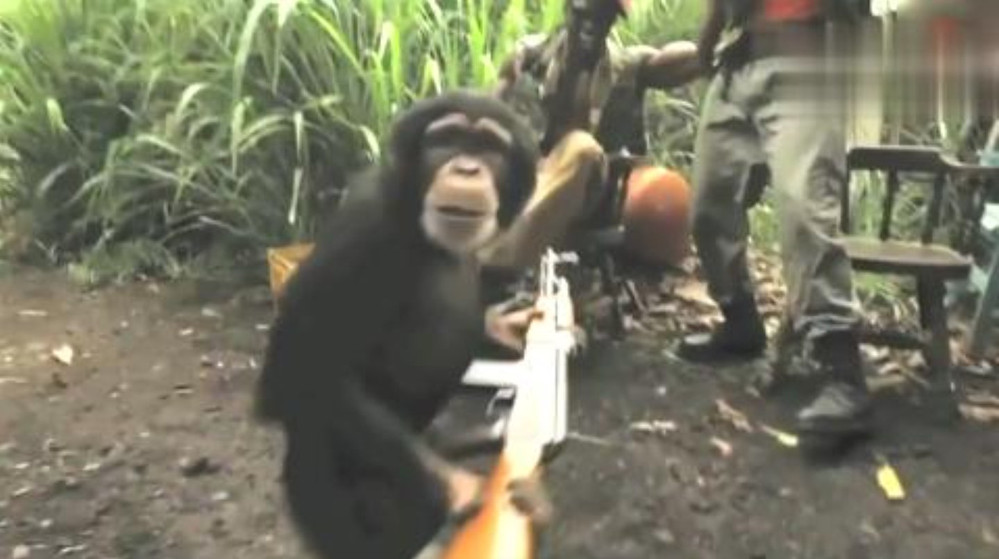 猩猩战争手机游戏-战争来临,猩猩当家,手机游戏震撼上线(图3) 猩猩战争手机游戏怎么玩_猩猩战争手机游戏叫什么_猩猩战争手机游戏