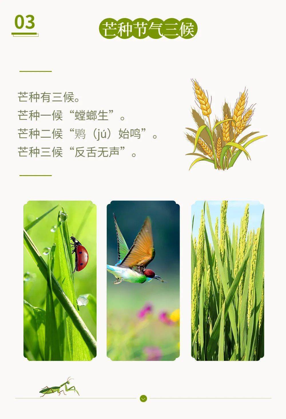 2022年24节气_2022年亚运会_2022年和2023年大牛市