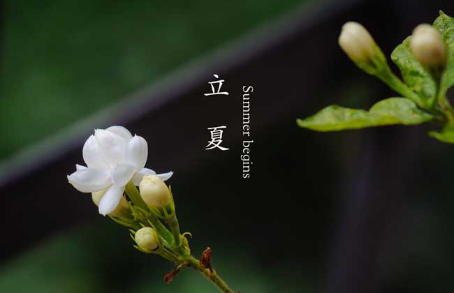 2022年和2023年大牛市_2022年24节气_2022年亚运会