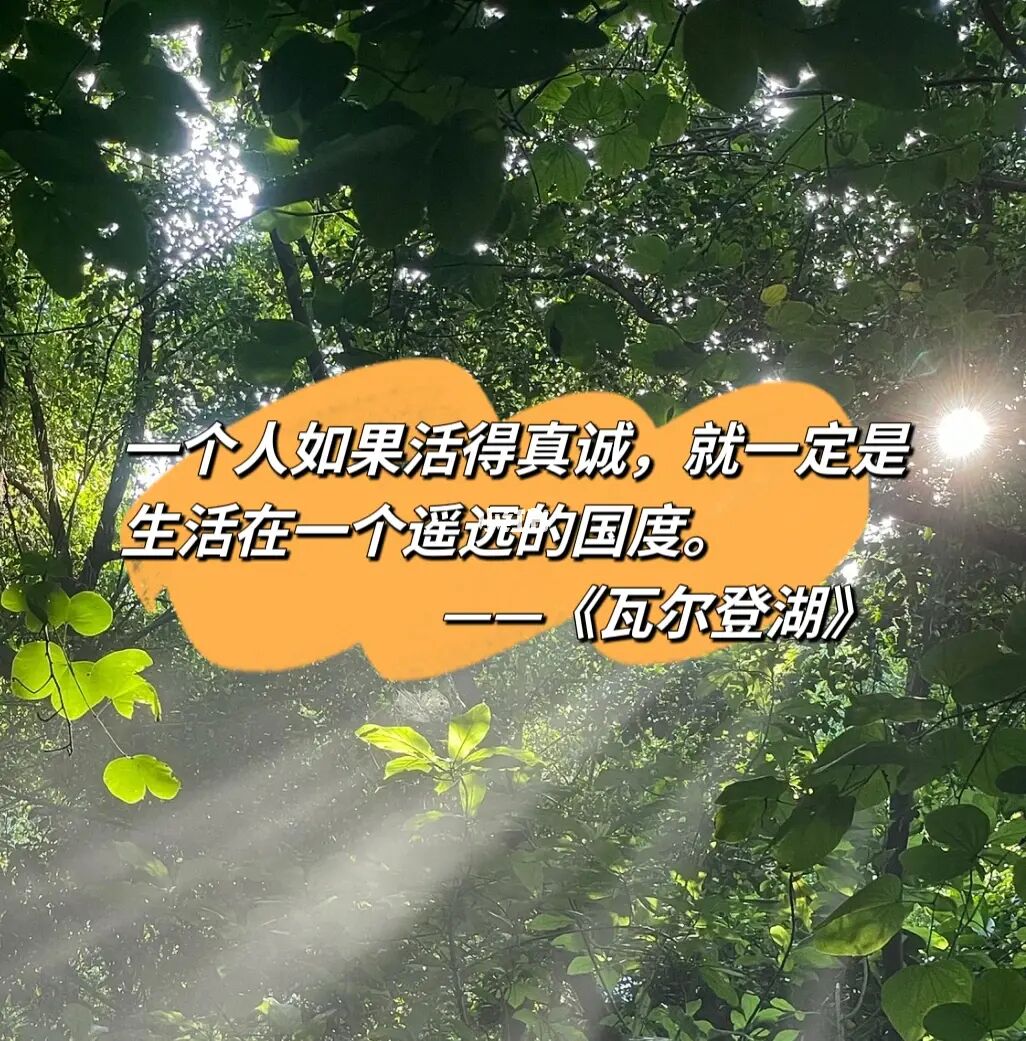 迫不及待_迫组词_迫真
