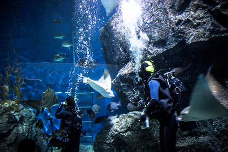 海洋探索手机游戏破解版_探索海洋手机游戏_海洋探索的游戏
