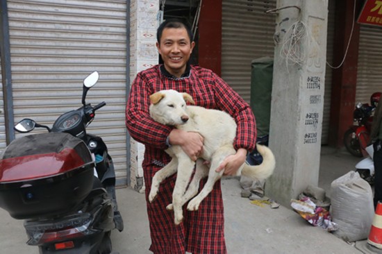 高其昌_高其昌Cv_高其昌宁安如梦