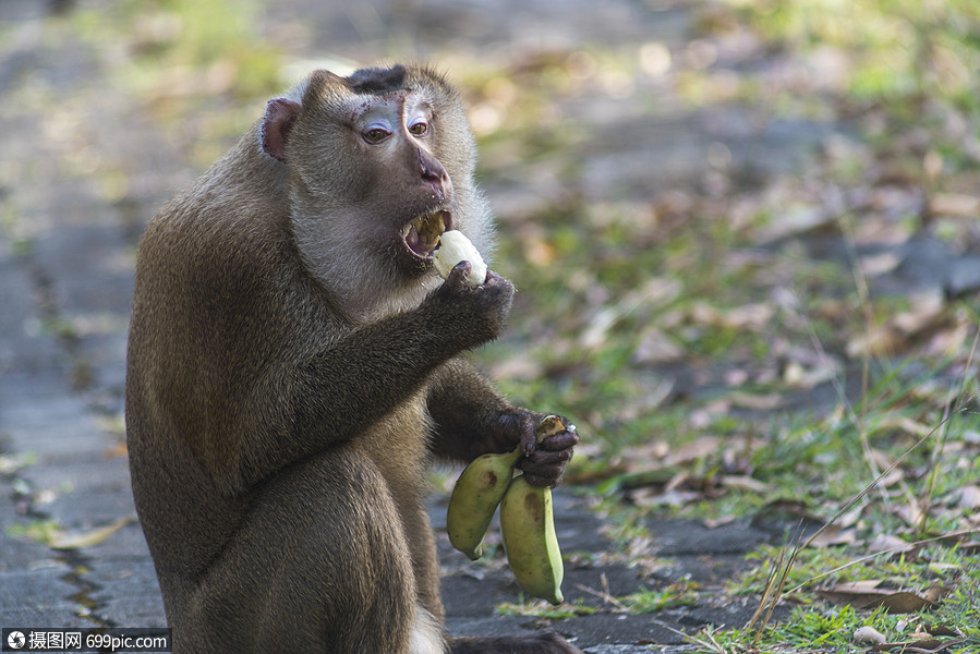 笑的手机游戏-笑到停不下来的手机游戏摇摇乐(图5) 小游戏手机_游戏手机版_笑的手机游戏