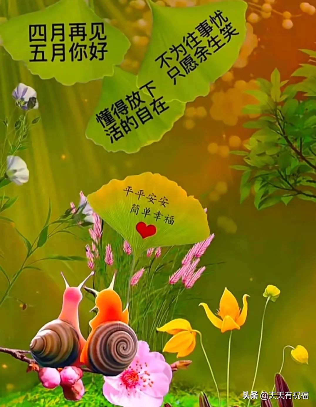 5月12日-五月花海绚烂,春天尾巴美如画(图2) 11月3日~11月9月英文_5月12日_月组词