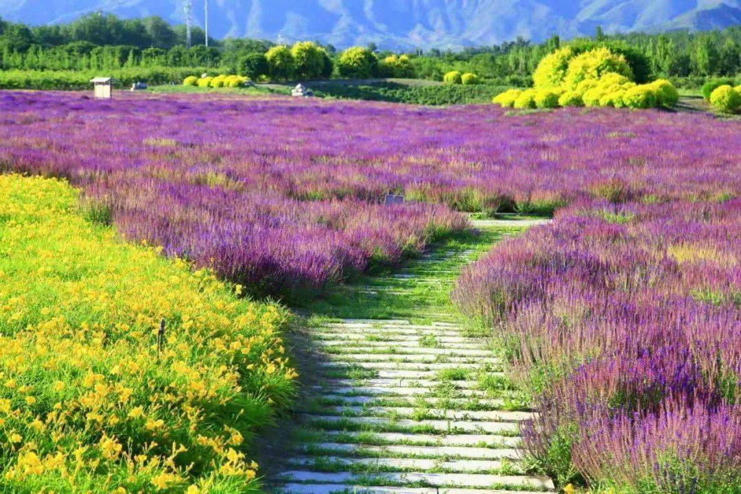 睡眠主题班会_睡眠主题酒店_2023睡眠日主题