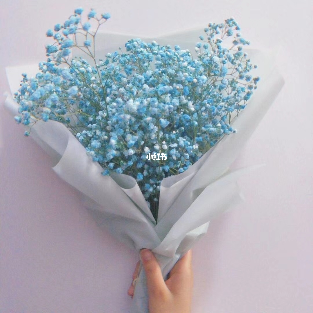 萌花有什么_有花萌_萌花有主的意思