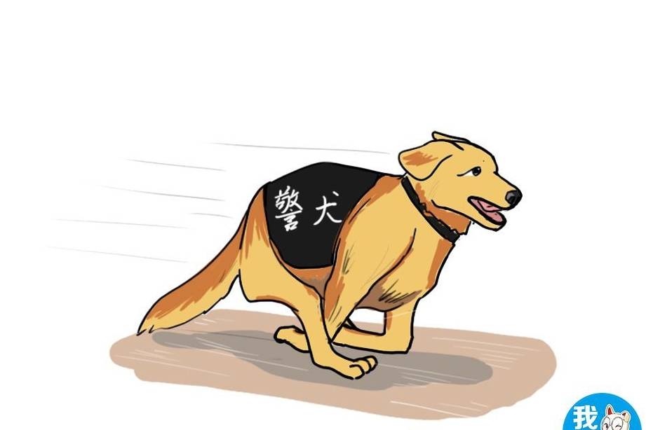 惊天营救1_惊天营救精彩片段_营救惊天迅雷下载