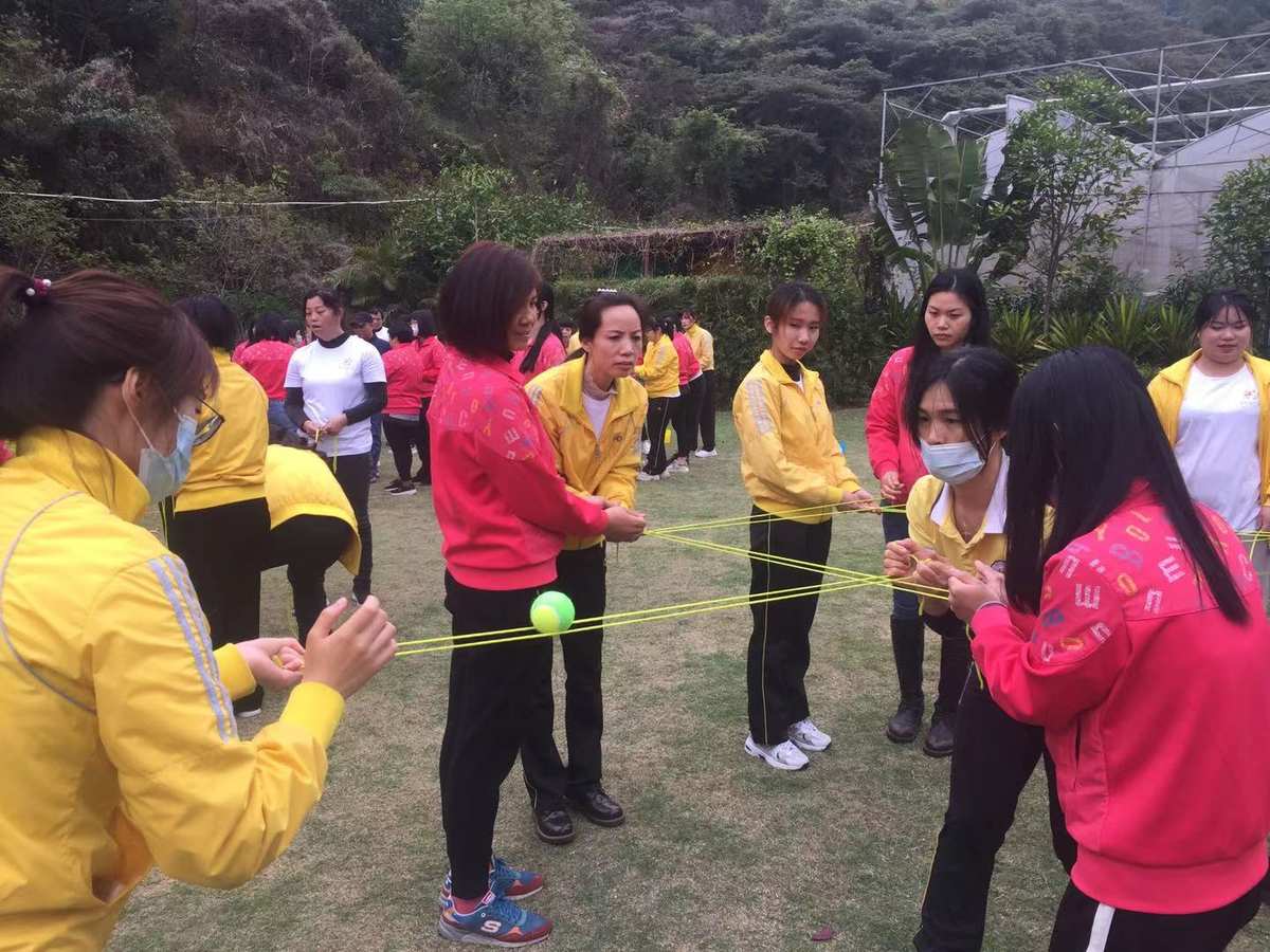 摔跤游戏安卓_游戏手机版摔跤游戏_游戏摔跤版手机能玩吗