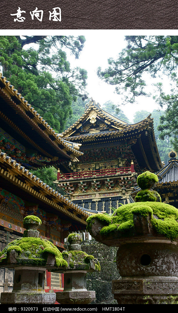 北泽-盛夏之美:花朵绽放,鸟儿歌唱(图1) 喂喂下北泽_北泽_北泽阀门