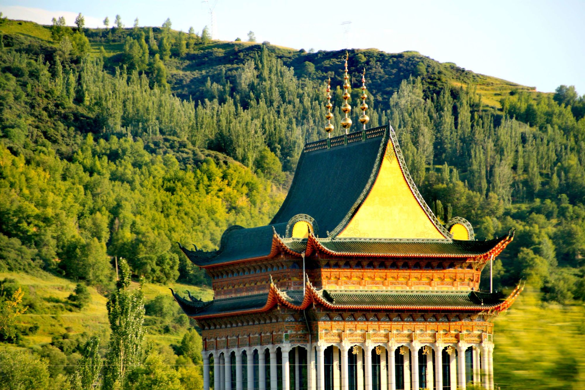 北泽-盛夏之美:花朵绽放,鸟儿歌唱(图2) 北泽_北泽阀门_喂喂下北泽