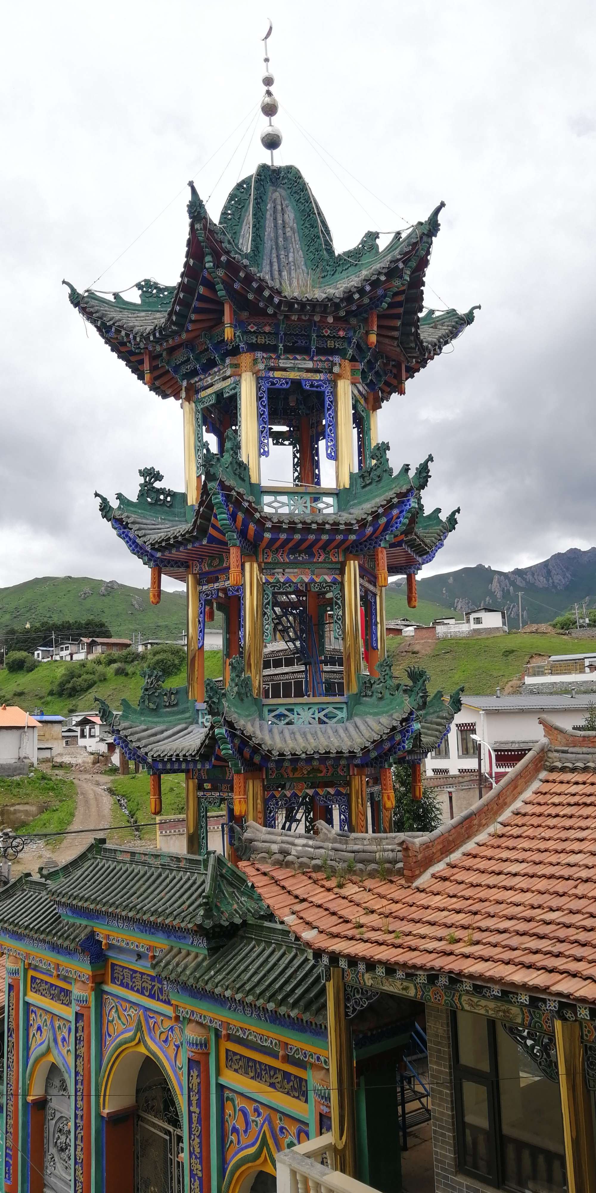 北泽-盛夏之美:花朵绽放,鸟儿歌唱(图3) 北泽_喂喂下北泽_北泽阀门