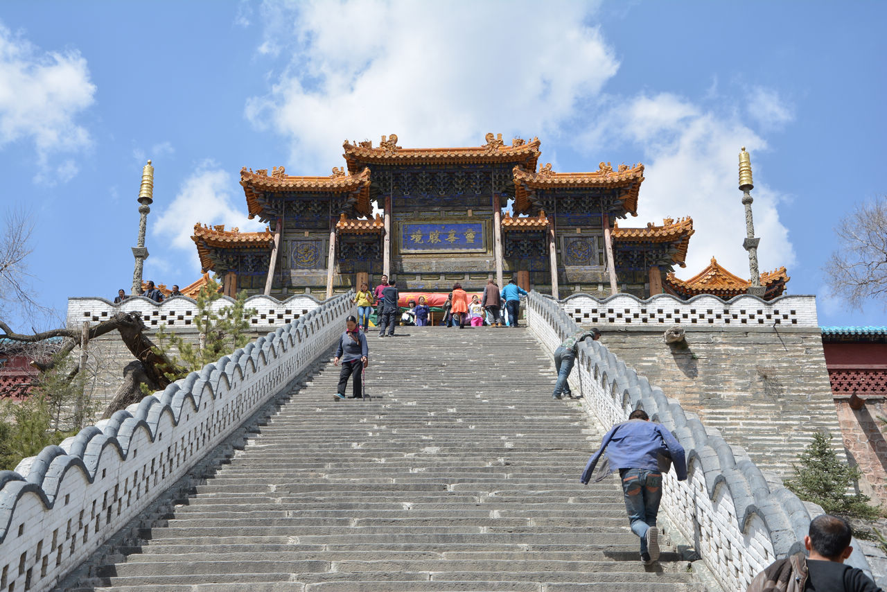 北泽-盛夏之美:花朵绽放,鸟儿歌唱(图4) 喂喂下北泽_北泽阀门_北泽