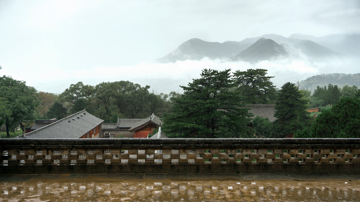 北泽-盛夏之美:花朵绽放,鸟儿歌唱(图5) 北泽_北泽阀门_喂喂下北泽