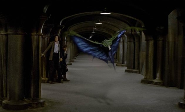 电影神奇动物在哪里_电影神奇动物1_神奇动物在哪里3电影