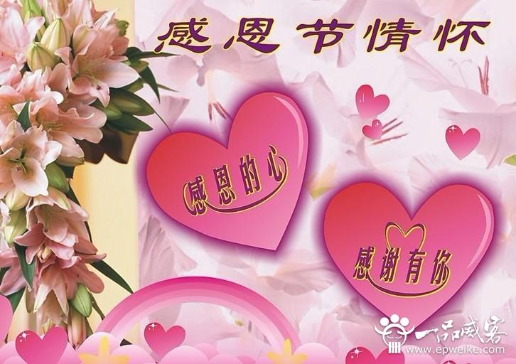 感恩节是什么意思-第三届滨海国际(微)电影节参赛影片盛况(图2) 感恩节的意思_感恩节是什么意思_感恩节意思是什么解释