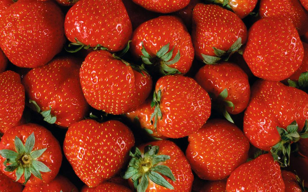 水果游戏手机桌面_水果游戏单机_水果游戏图标