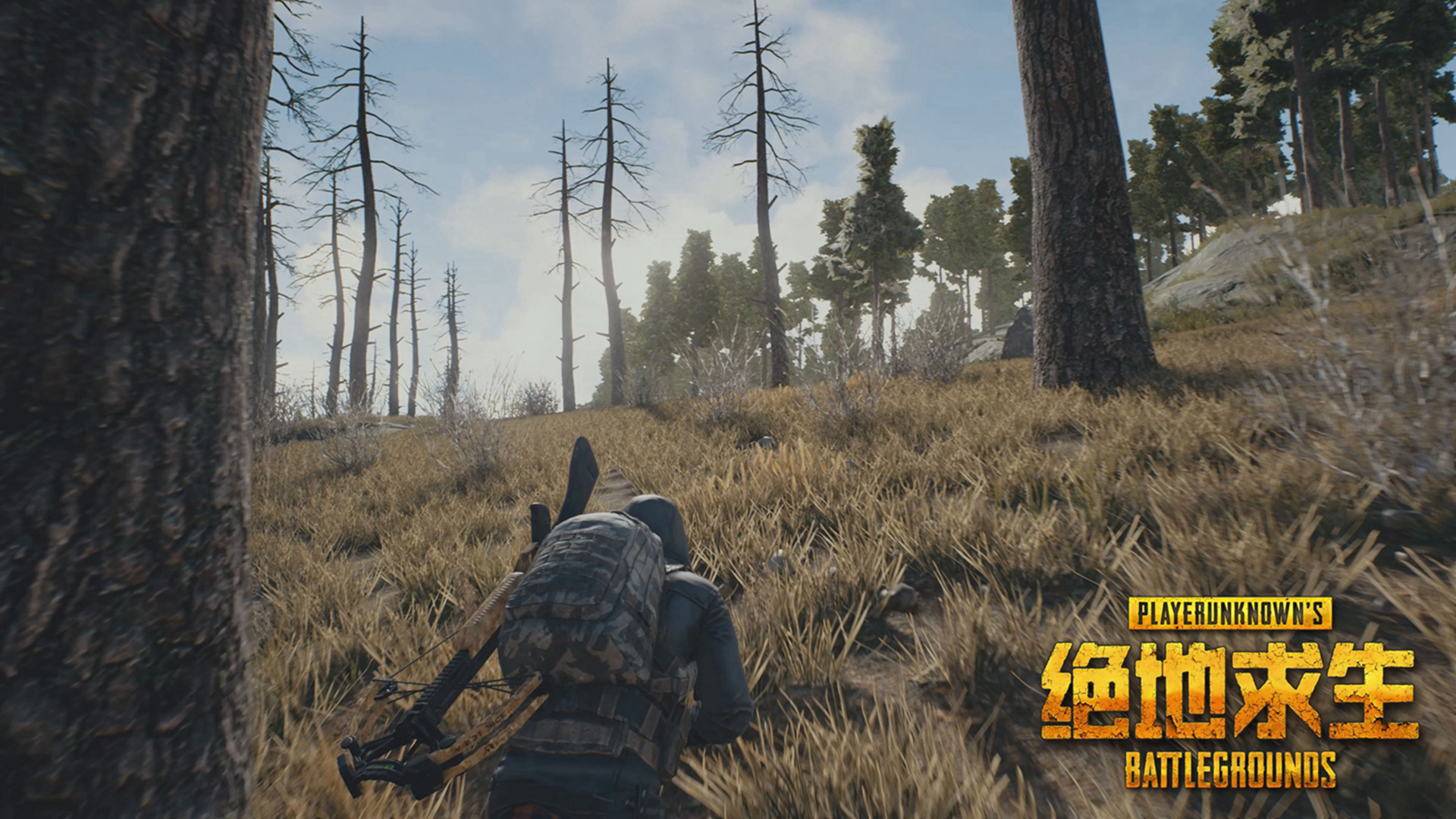 手机最强的三款单机游戏-【震撼推荐】绝地求生VS王者荣耀,谁才是最强单机游戏?(图1) 最好的单机手机游戏_单机最强款手机游戏推荐_手机最强的三款单机游戏