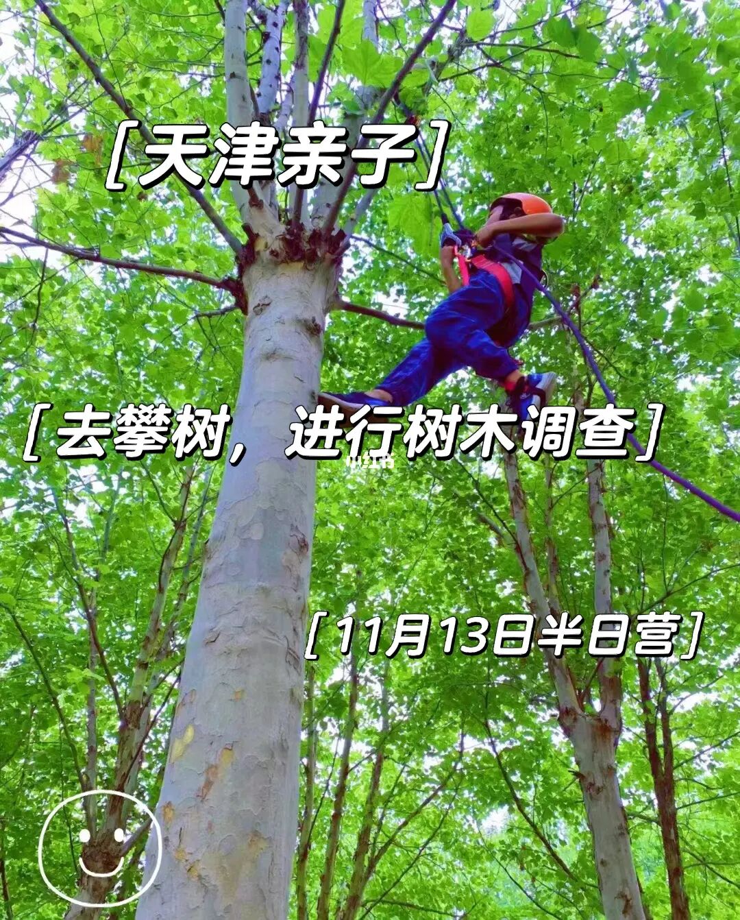 冒险手游攻略_树上冒险手机游戏_冒险树作文