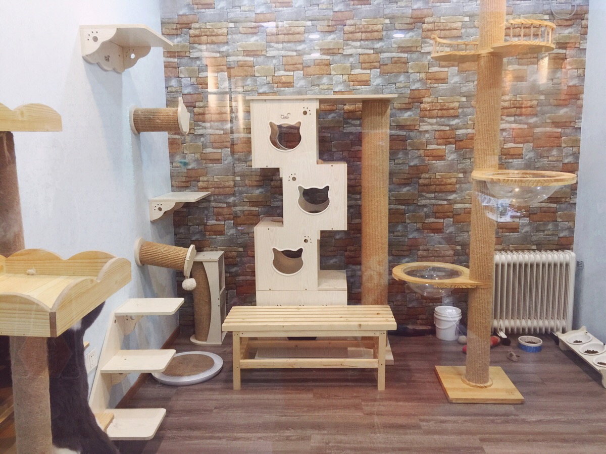 养很多猫的手机游戏下载_养猫游戏app_养猫游戏软件