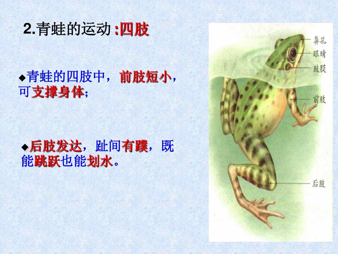 小跳蛙手机游戏-小跳蛙:跃动不停的手机游戏,如何提高得分技巧大揭秘(图2) 小跳蛙手机游戏_小跳蛙是什么软件_小跳蛙游戏玩法