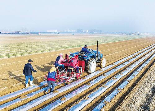 无限种田游戏[快穿]_无限种田手机游戏大全_无限种田游戏手机
