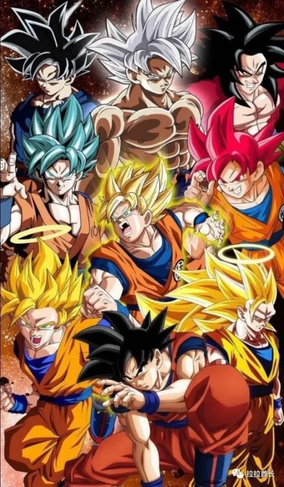 龙珠超免费观看_龙珠超清在线观看_龙珠免费观看完整版普通话