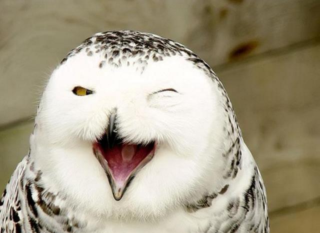 今天的她也是如此可爱-她的微笑,智慧和魅力:一个让世界变得明亮的女孩(图1) 今天的她也是如此可爱_今天可爱也在线营业了_今天也很可爱