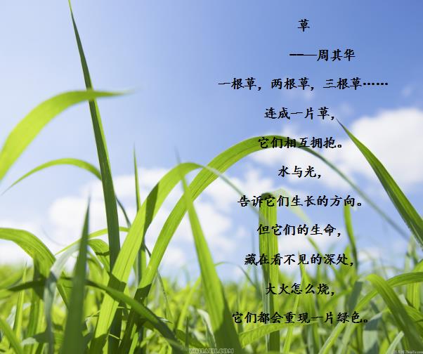 诗歌本下载免费_诗歌免费下载本地版_免费下载诗歌本1300首