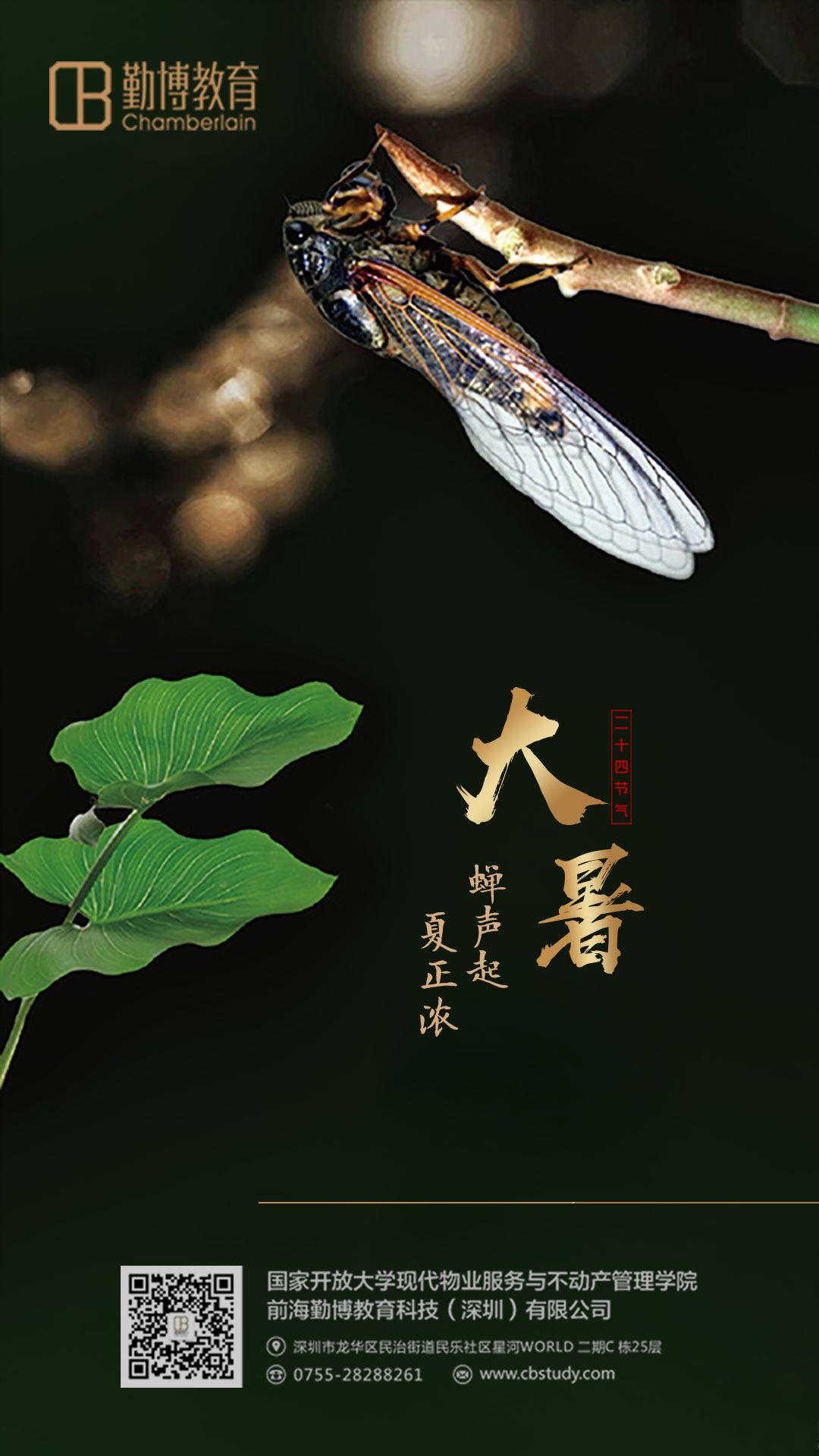 大暑是几月_大暑是几月几号农历_大暑是几月几日