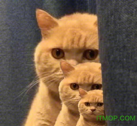 东北大杂烩_猫扑大杂烩_猫扑大杂烩-掌上猫扑