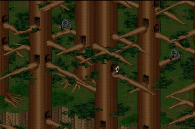 宝可梦太阳_宝可梦太阳cci_太阳宝可梦