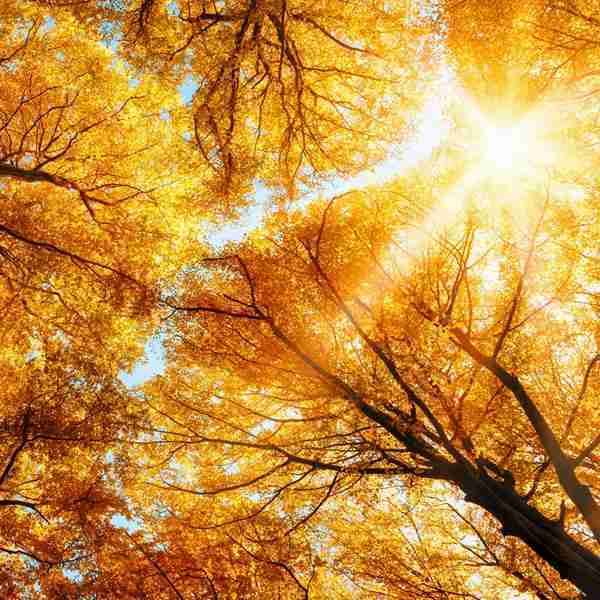 怎么建立微信公众号_公众微信建立号码怎么弄_微信公众号的建立