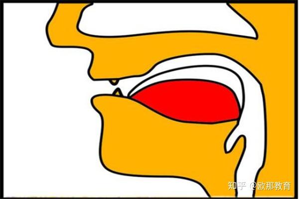 卷曲的英文:学习难题全解密(图2) 英文卷曲的_英文卷曲的怎么读_卷曲的英文