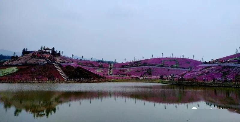 益阳攻略游戏手机_益阳攻略抖音_益阳怎么玩