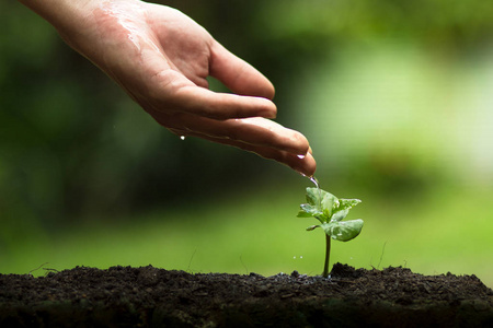 幽灵利维坦_幽灵利维坦要砍多少刀_幽灵利维坦怎么打