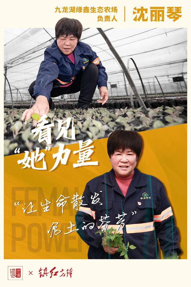 养老婆知乎推荐手机游戏小说_养老婆的手游推荐_养老婆手机游戏推荐知乎