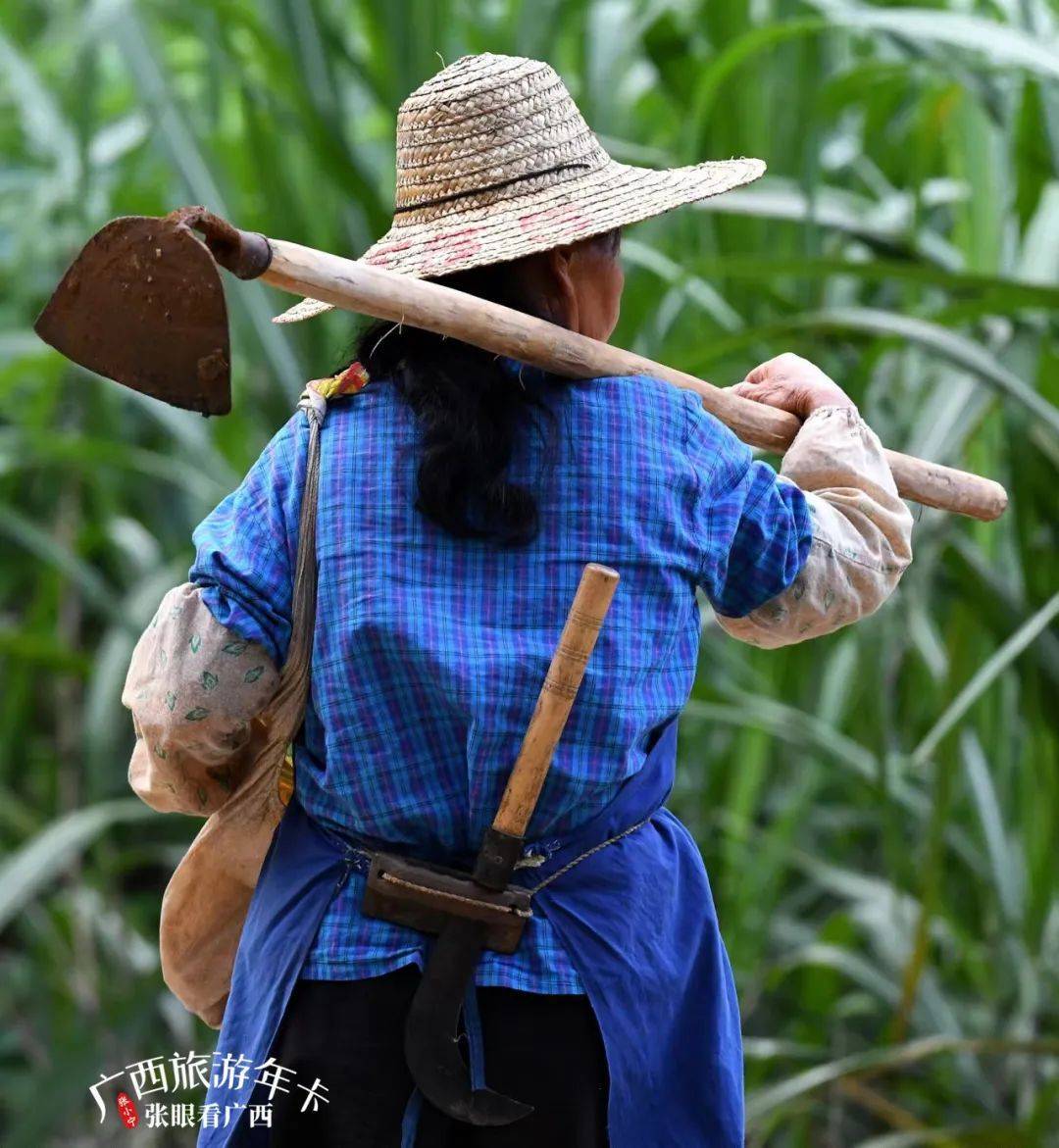 种田手机游戏排行榜_种田手机游戏单机_手机种田游戏