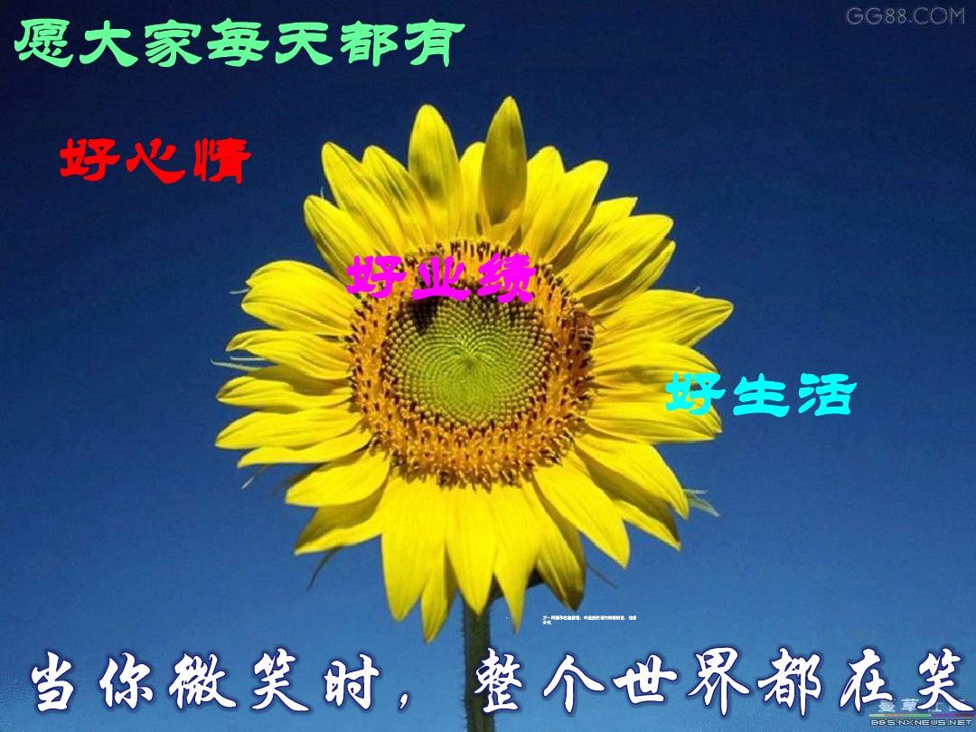 苏九儿本子_苏九儿_妖怪名单苏九儿