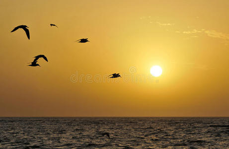 自由度高的飞行手游_自由度极高的飞行手机游戏_自由飞行的游戏