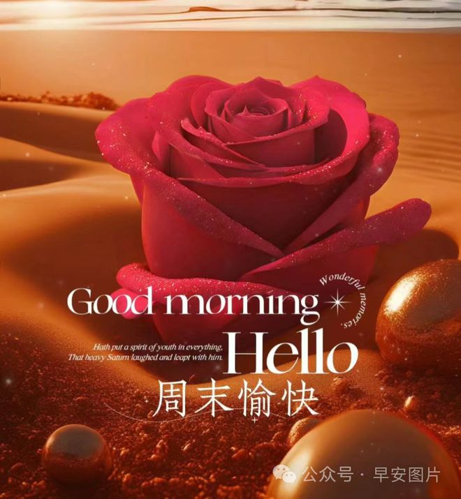 若鸿文化_若鸿文化_若鸿文化