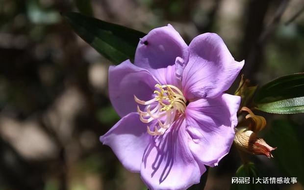 小林有吾教师亲授:学霸学习法则和与老师的默契攻略(图1) 小林有吾_小林有吾漫画家_小林有吾