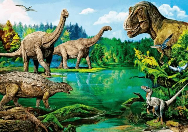 寻星之旅_星寻_寻星软件