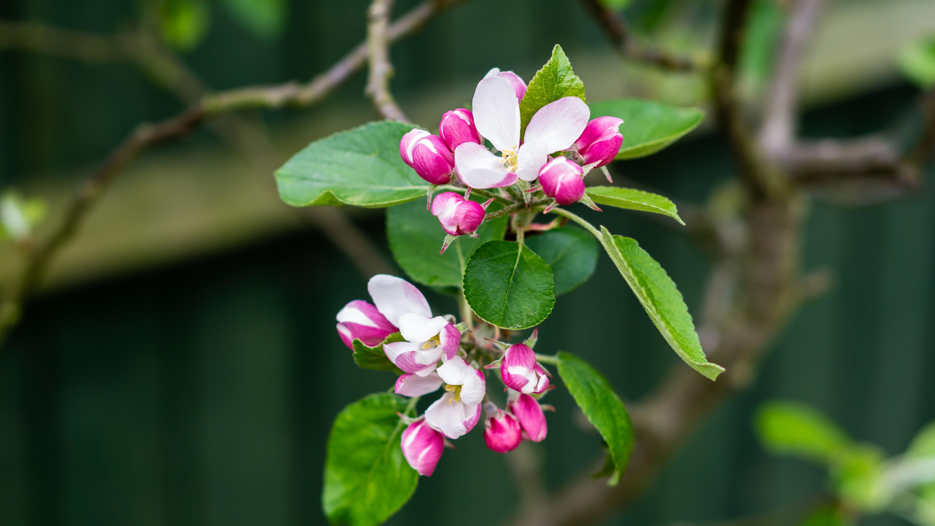 星座月是什么意思_星座月代表什么_6月3日是什么星座