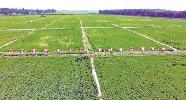 1兆等于多少kb-兆(MB)VS千字节(kb):速度对比、稳定性分析、实际应用测评(图1) 1兆等于多少kb_兆等于MB吗_兆等于几千