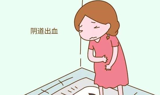 你什么都没看见_看见没有这个就叫专业_汪新他爸到底看见没